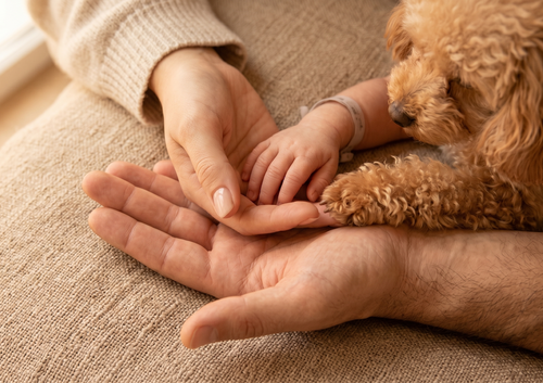 Todos, también el perrito
